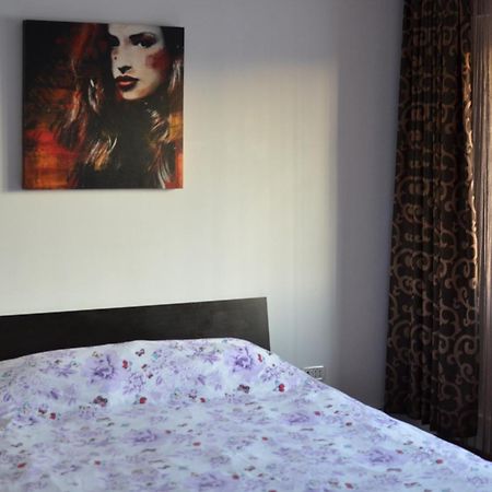 Vila Cu Trandafiri Cozy Apartments 2 Camere Bragadiru Экстерьер фото
