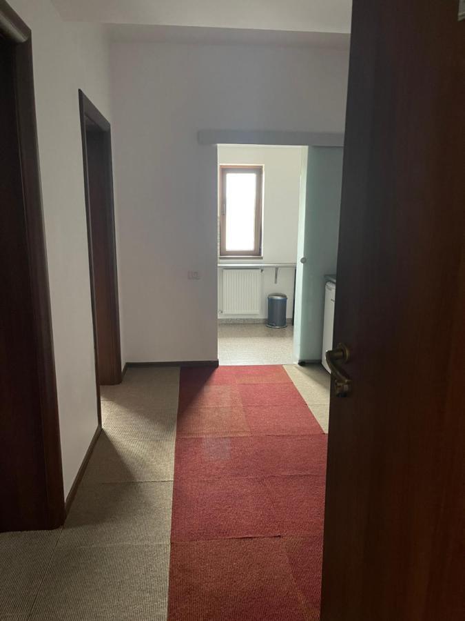 Vila Cu Trandafiri Cozy Apartments 2 Camere Bragadiru Экстерьер фото