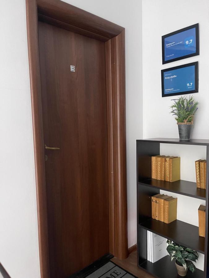 Vila Cu Trandafiri Cozy Apartments 2 Camere Bragadiru Экстерьер фото