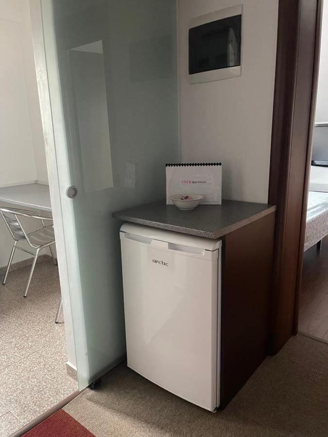 Vila Cu Trandafiri Cozy Apartments 2 Camere Bragadiru Экстерьер фото