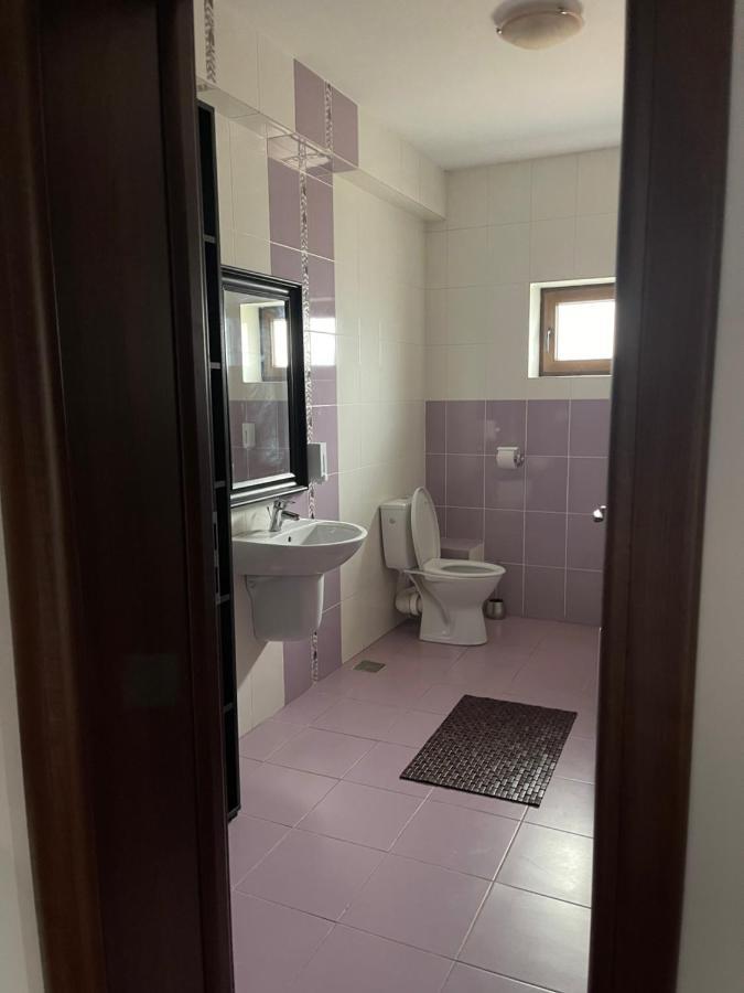Vila Cu Trandafiri Cozy Apartments 2 Camere Bragadiru Экстерьер фото